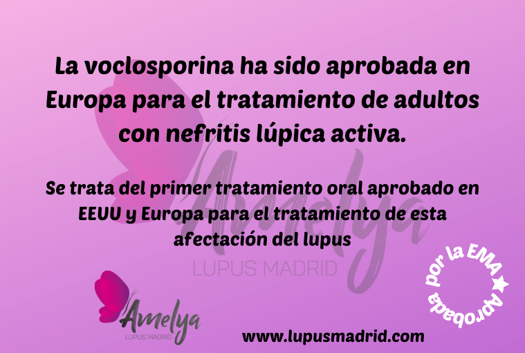 La voclosporina ha sido aprobada en Europa para el tratamiento de adultos con nefritis lúpica activa.